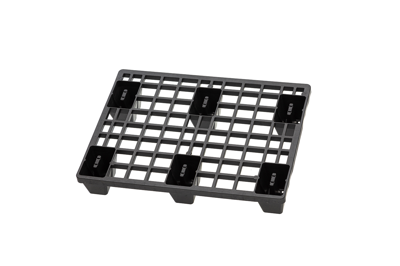 FIDUS light 806 4W