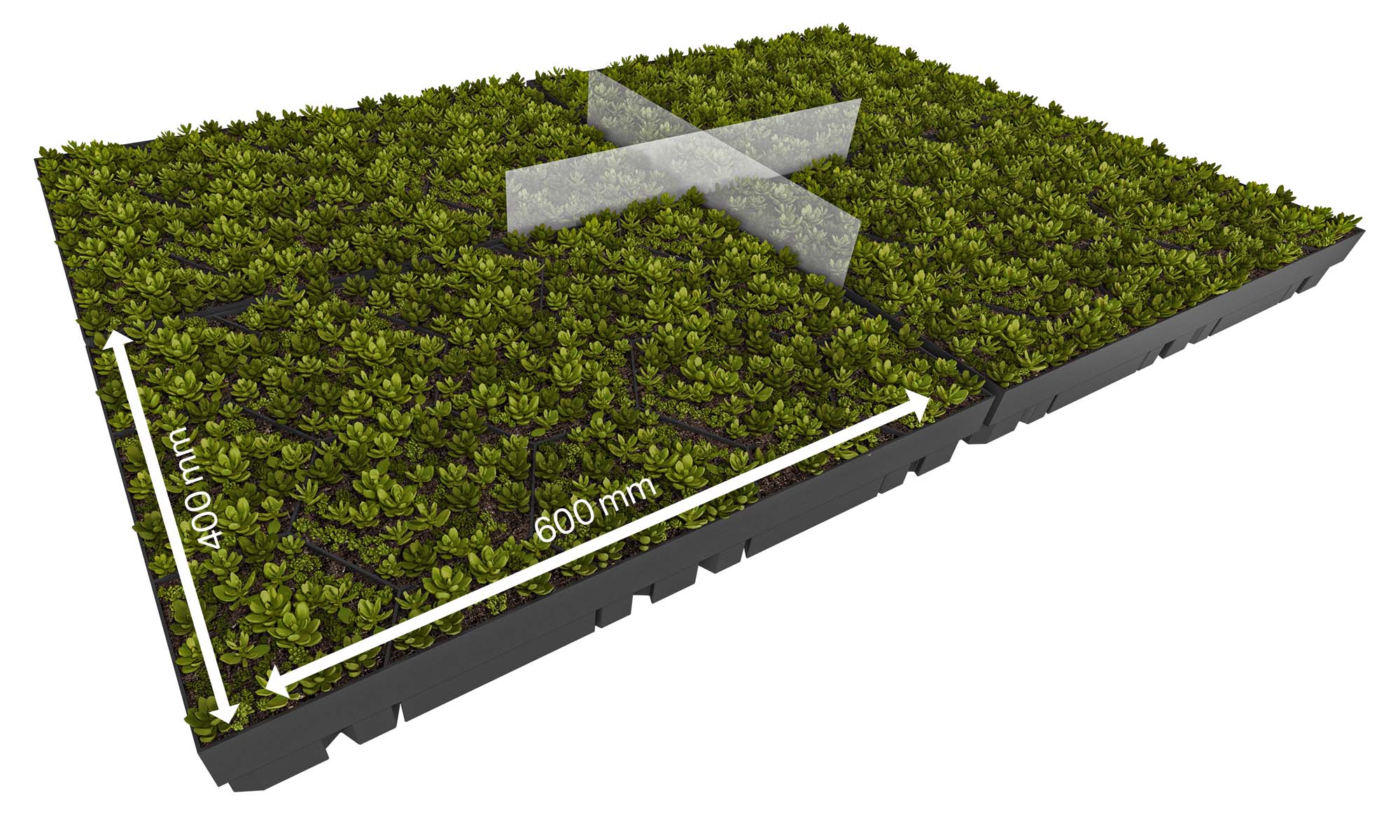 Rendering von vier nebeneinanderliegenden begrünten ECOgreen Modulen mit Abmessungen