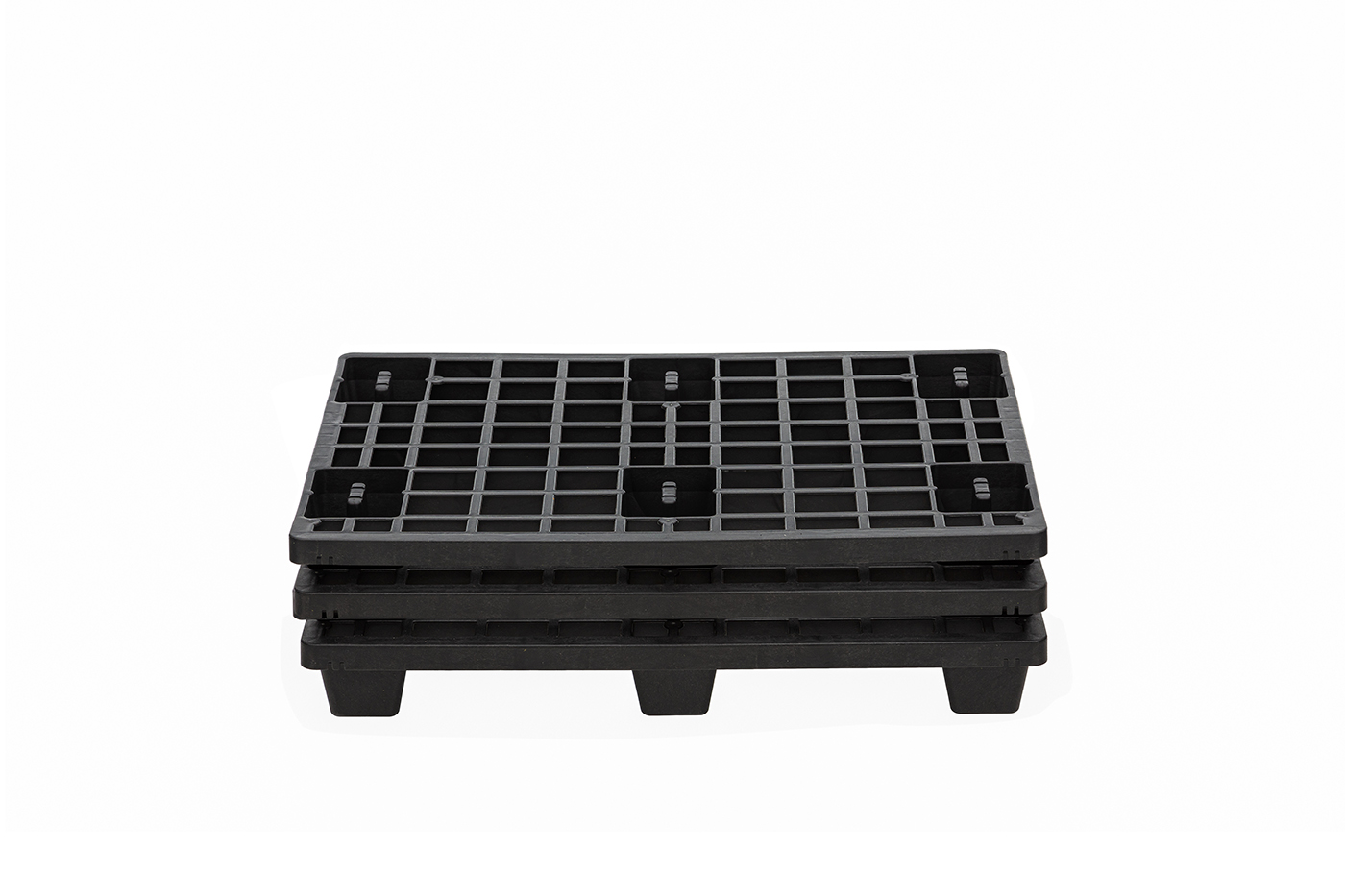 FIDUS light 806 4W