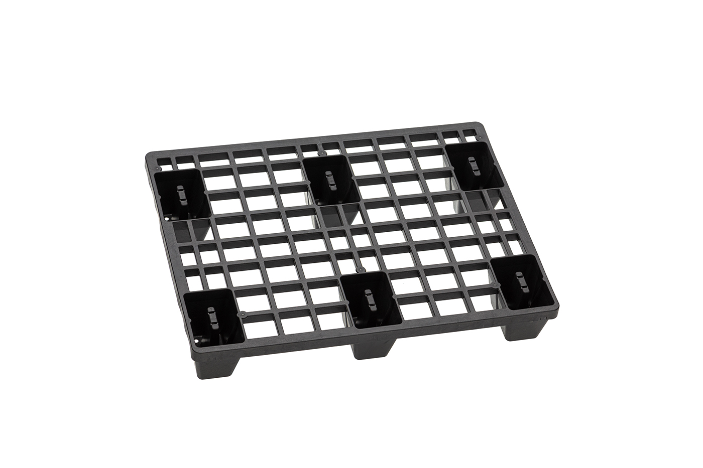 FIDUS light 806 4W