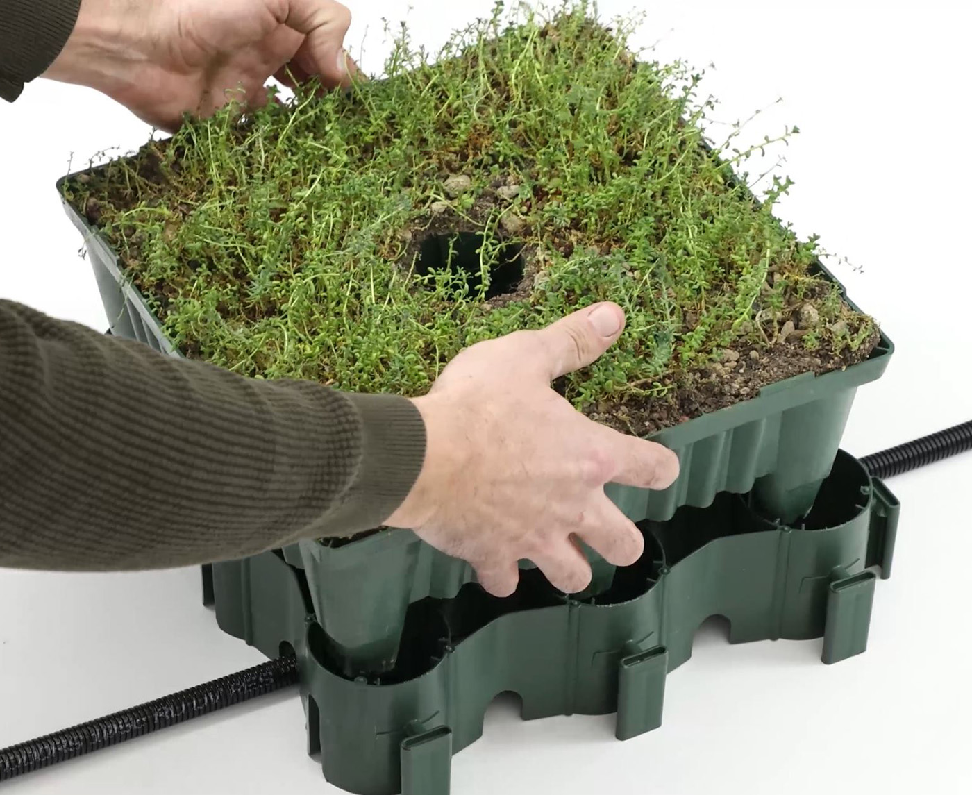 ECOgreen System Boxx auf Platte Begrünte ECOgreen System Boxx wird auf Grundplatte platziert