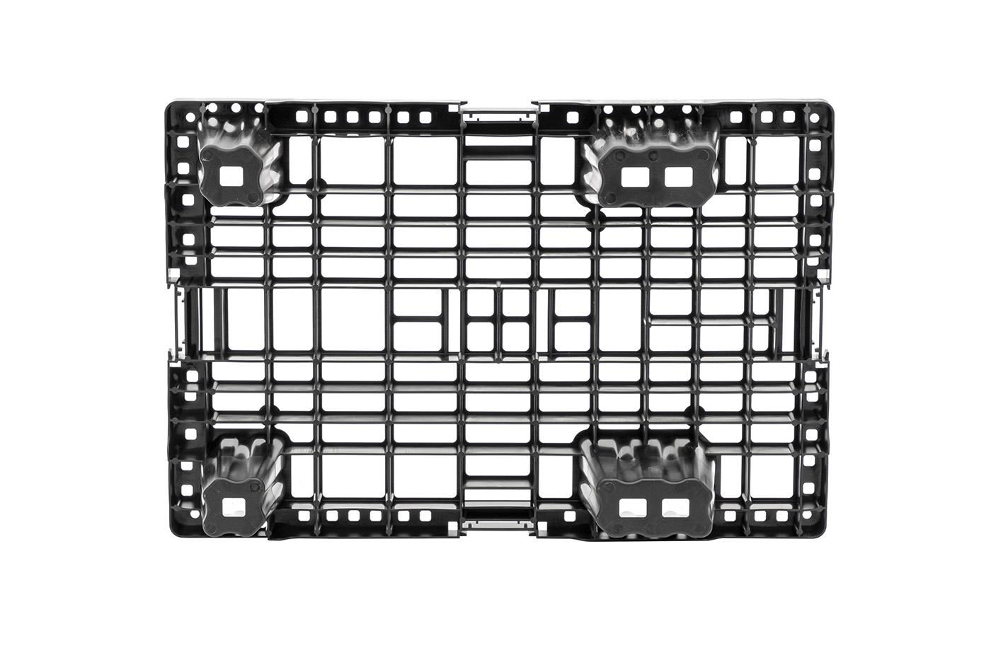 FIDUS medium 604