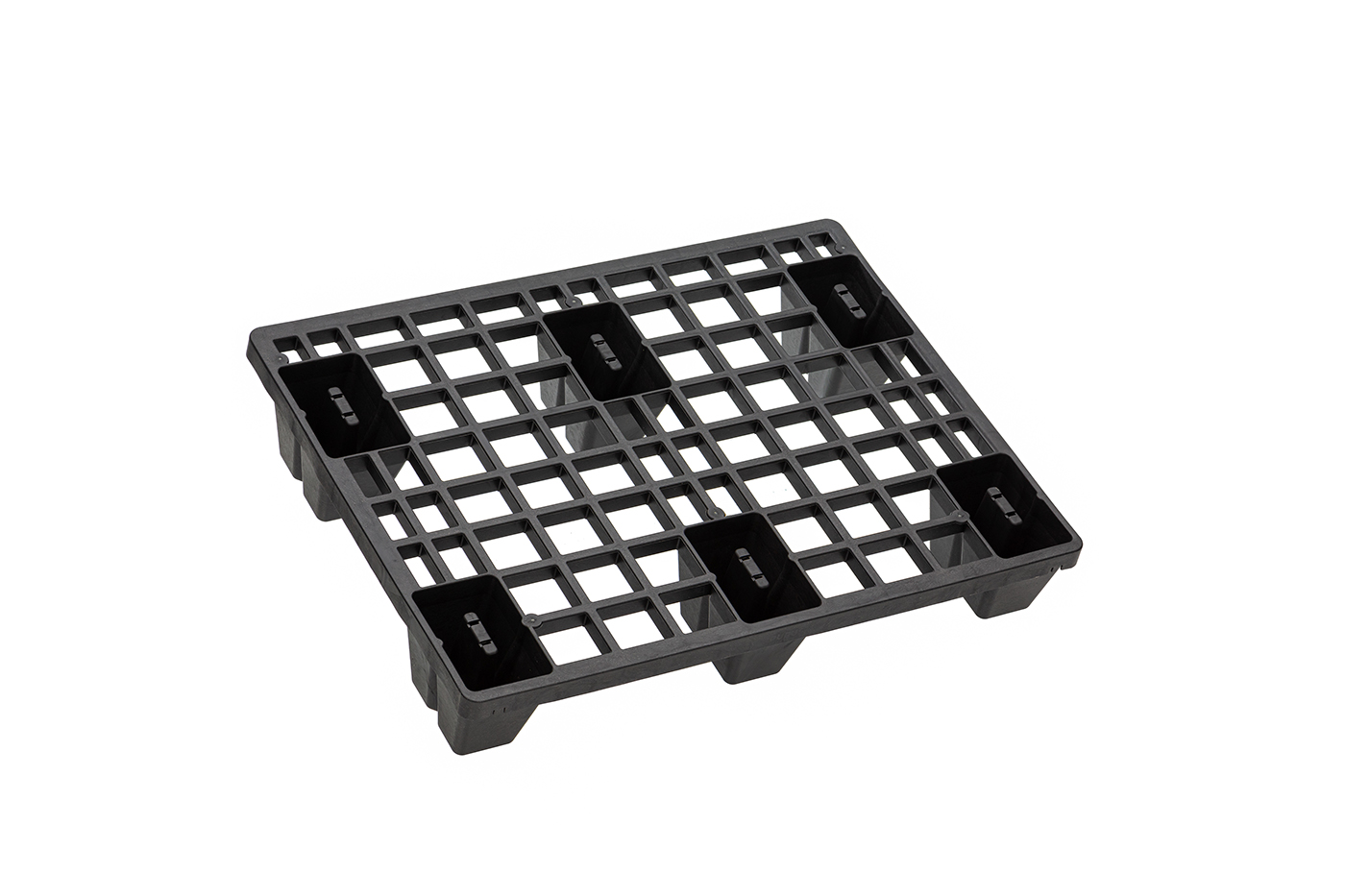 FIDUS light 806 4W