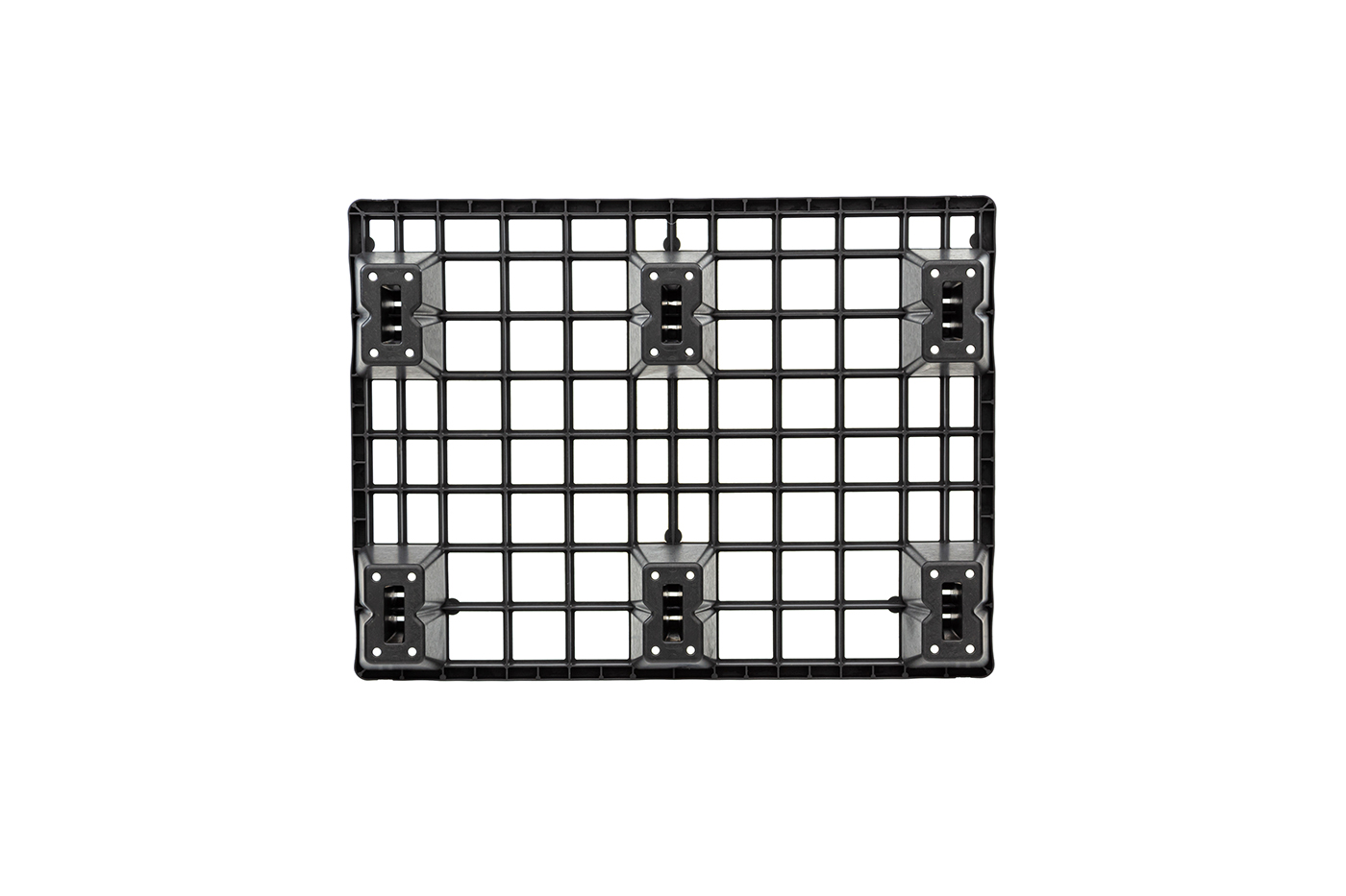 FIDUS light 806 4W
