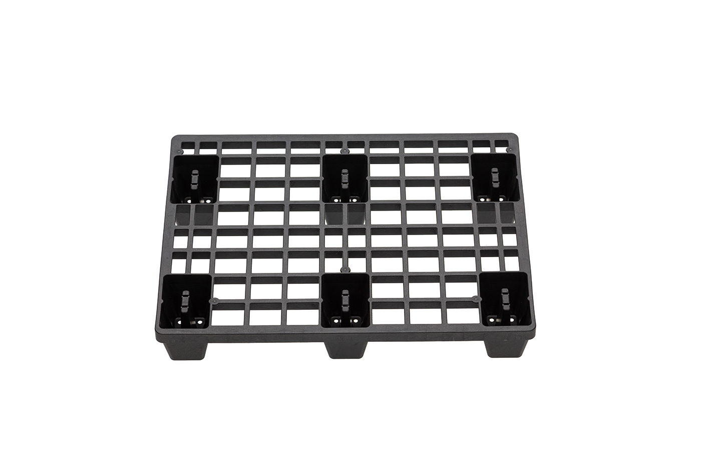 FIDUS light 806 4W