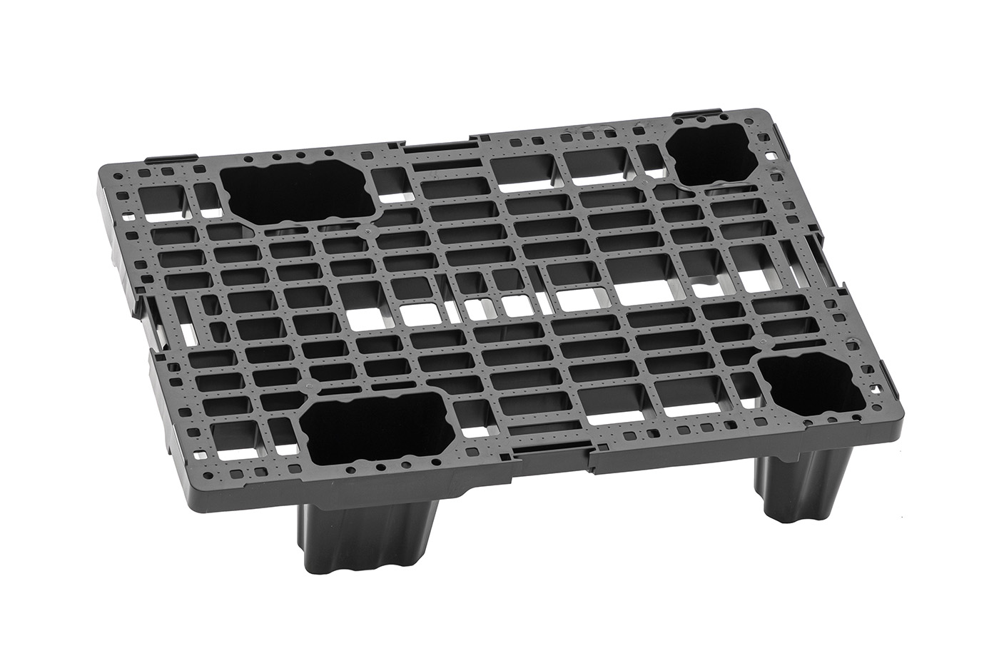 FIDUS medium 604