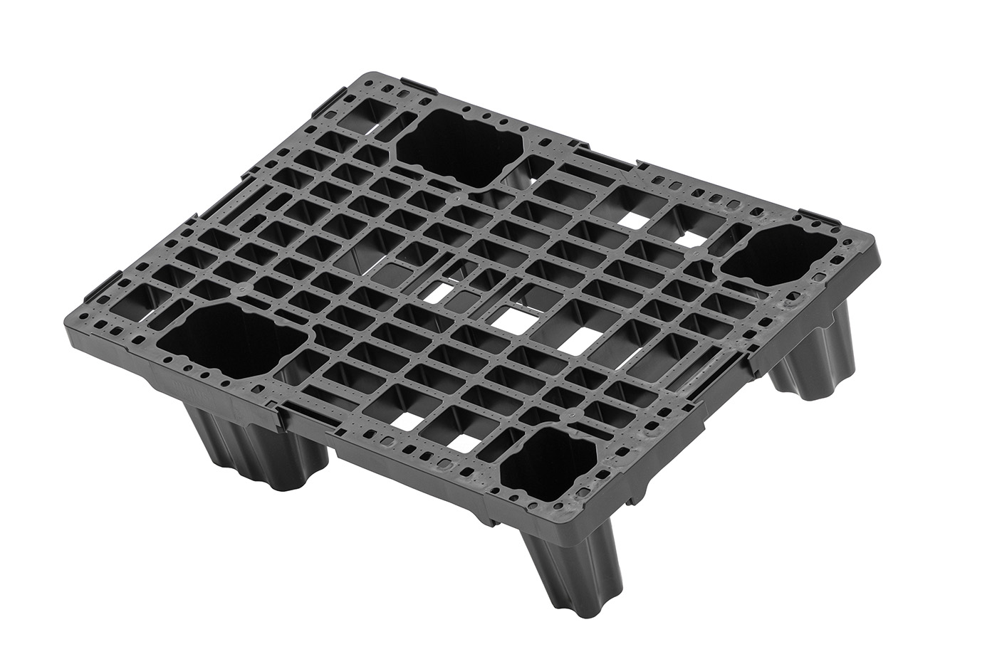FIDUS medium 604