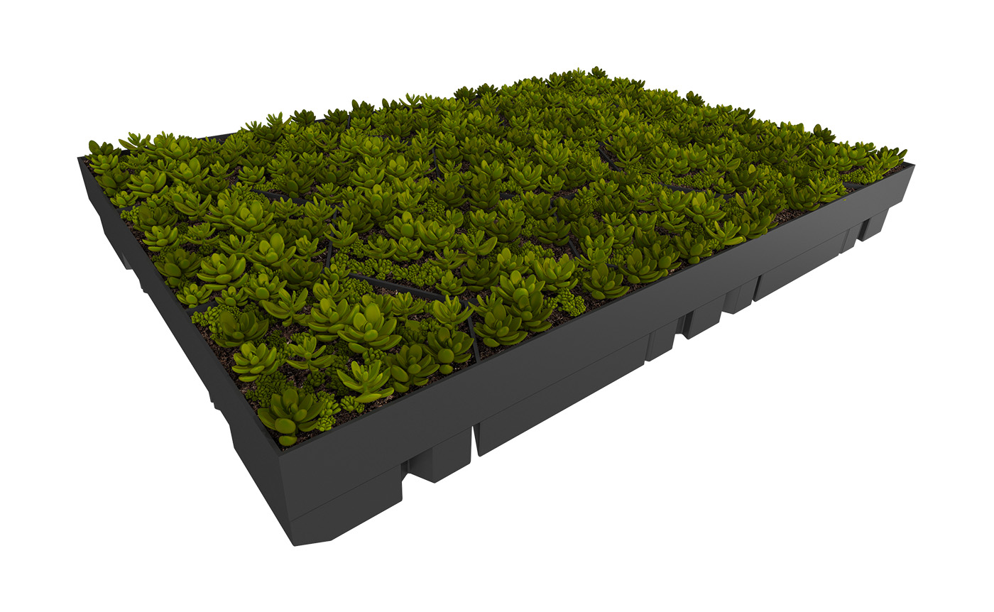 Anschauliche Darstellung eines ECOgreen PACK Moduls mit voller Begrünung
