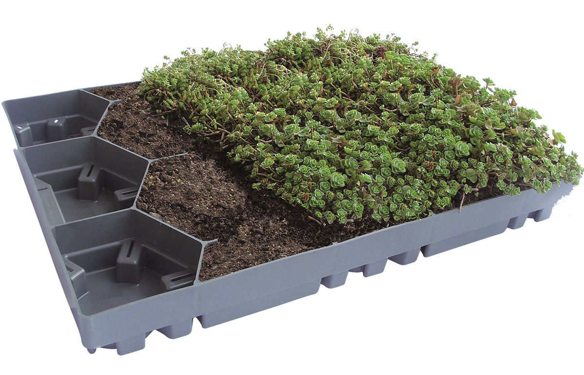 Aufbau ECOgreen PACK Modul Einzelnes ECOgreen PACK Modul zeigt den Aufbau und die Befüllung mit Erde und Sedum-Bepflanzung