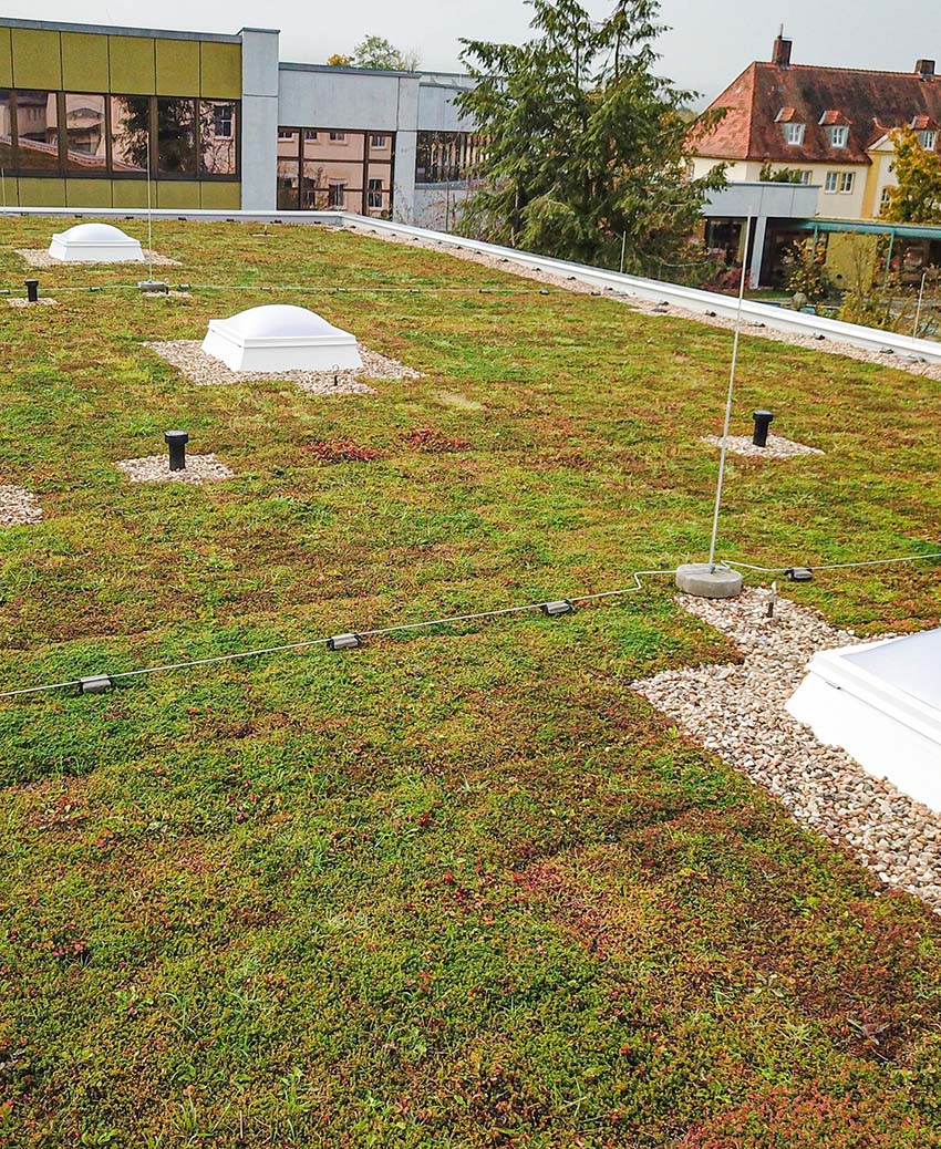 ECOgreen PACK Dachbegrünung Mainleus Dachbegrünung von PURUS auf der Kita in Mainleus, im Hintergrund Schulgebäude