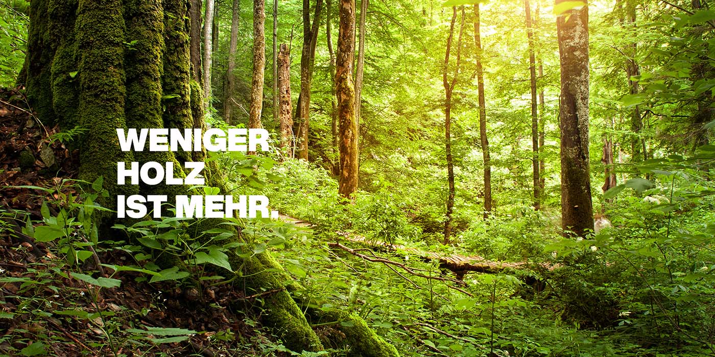 Claim in weißer Schrift auf einem grünen Wald Hintergrund