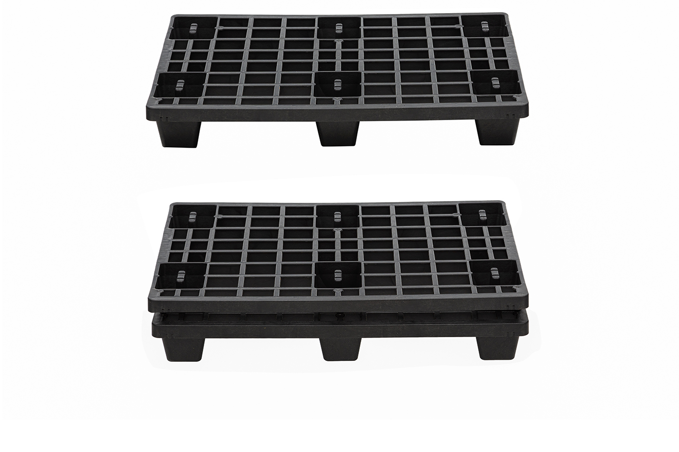 FIDUS light 806 4W
