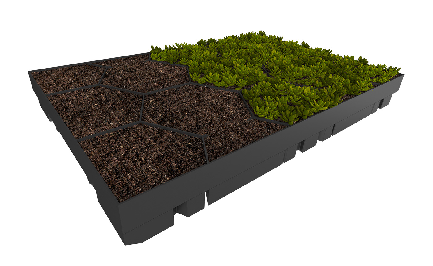 Anschauliche Darstellung der Befüllung eines ECOgreen PACK Moduls halbleer mit Erde und Bepflanzung