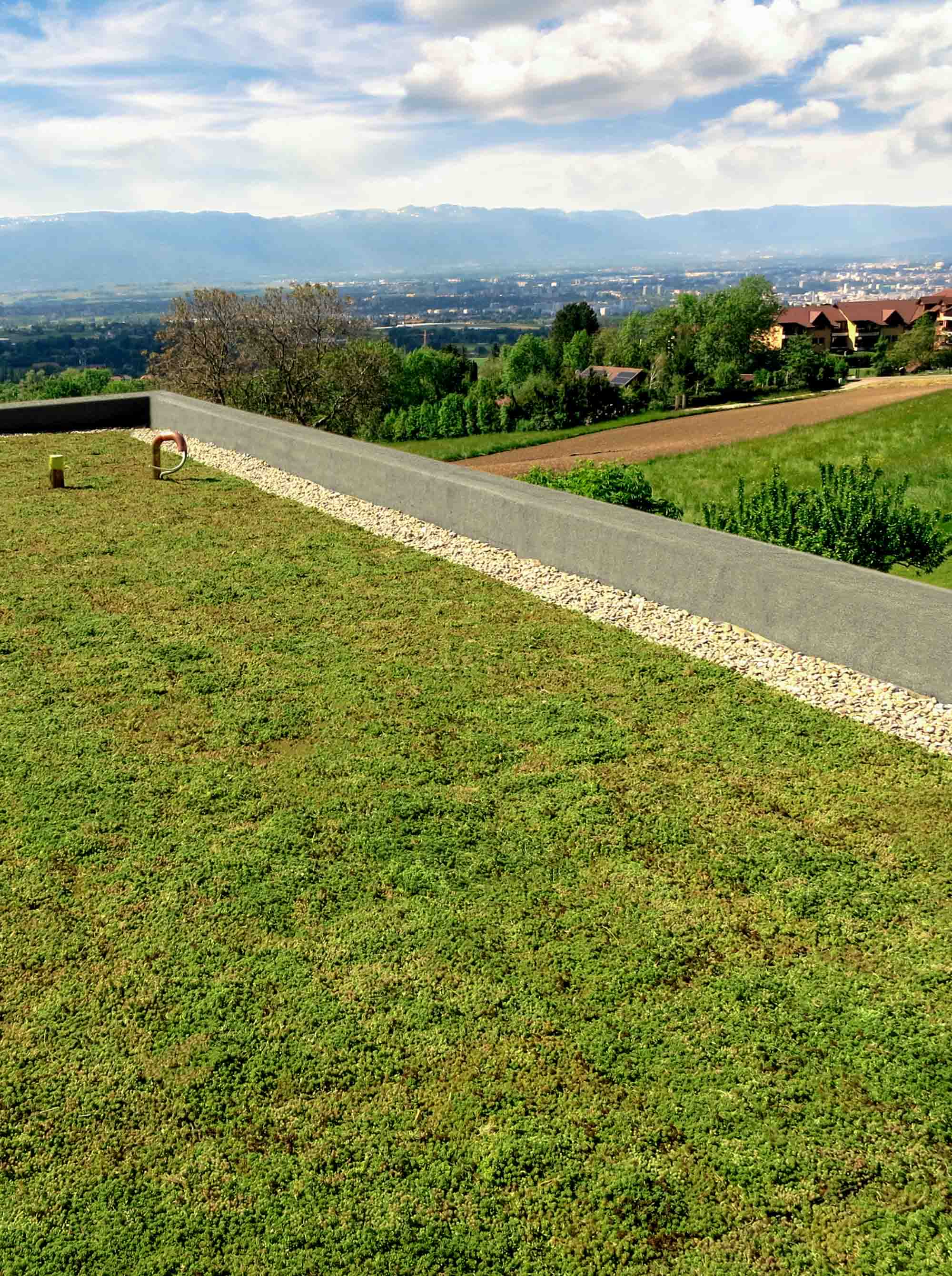 PURUS PLASTICS ECOgreen: Gründach mit Panorama Gründach mit Sedum-Bepflanzung, installiert mit dem ECOgreen System von PURUS PLASTICS und mit Blick in die Landschaft.
