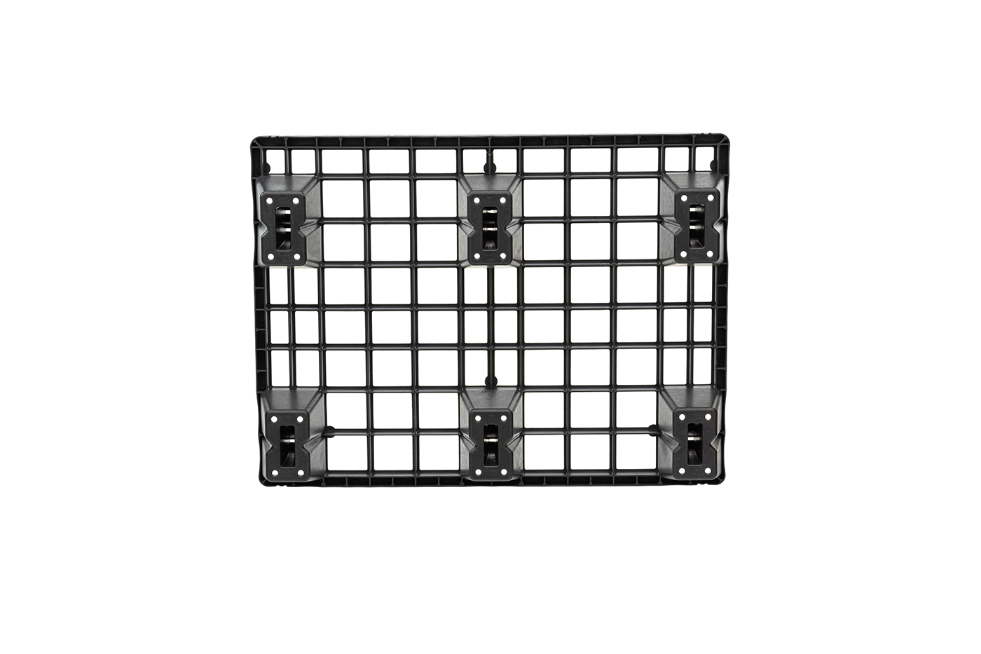 FIDUS light 806 4W