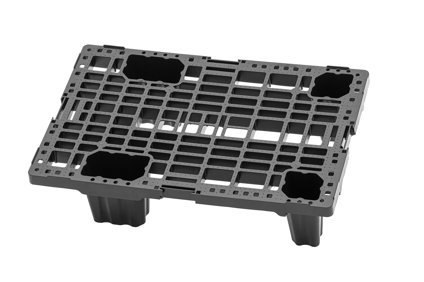 FIDUS medium 604