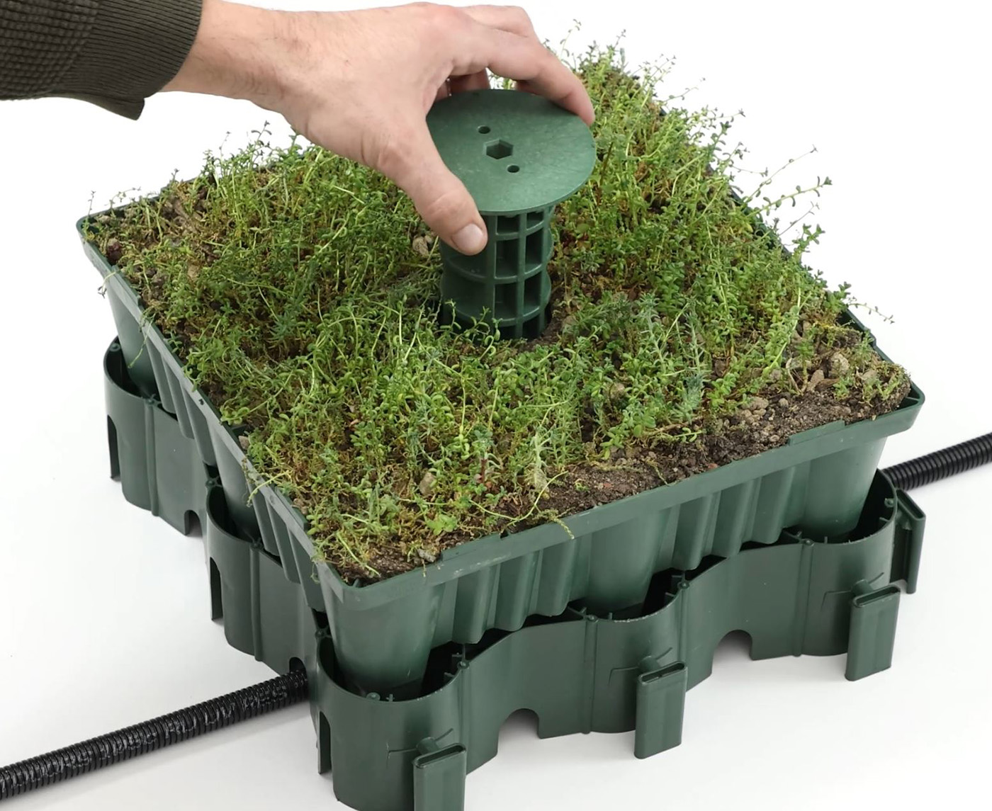 ECOgreen System Module verlegt Eine Hand bringt grünen Adapter in der ECOgreen System Box an