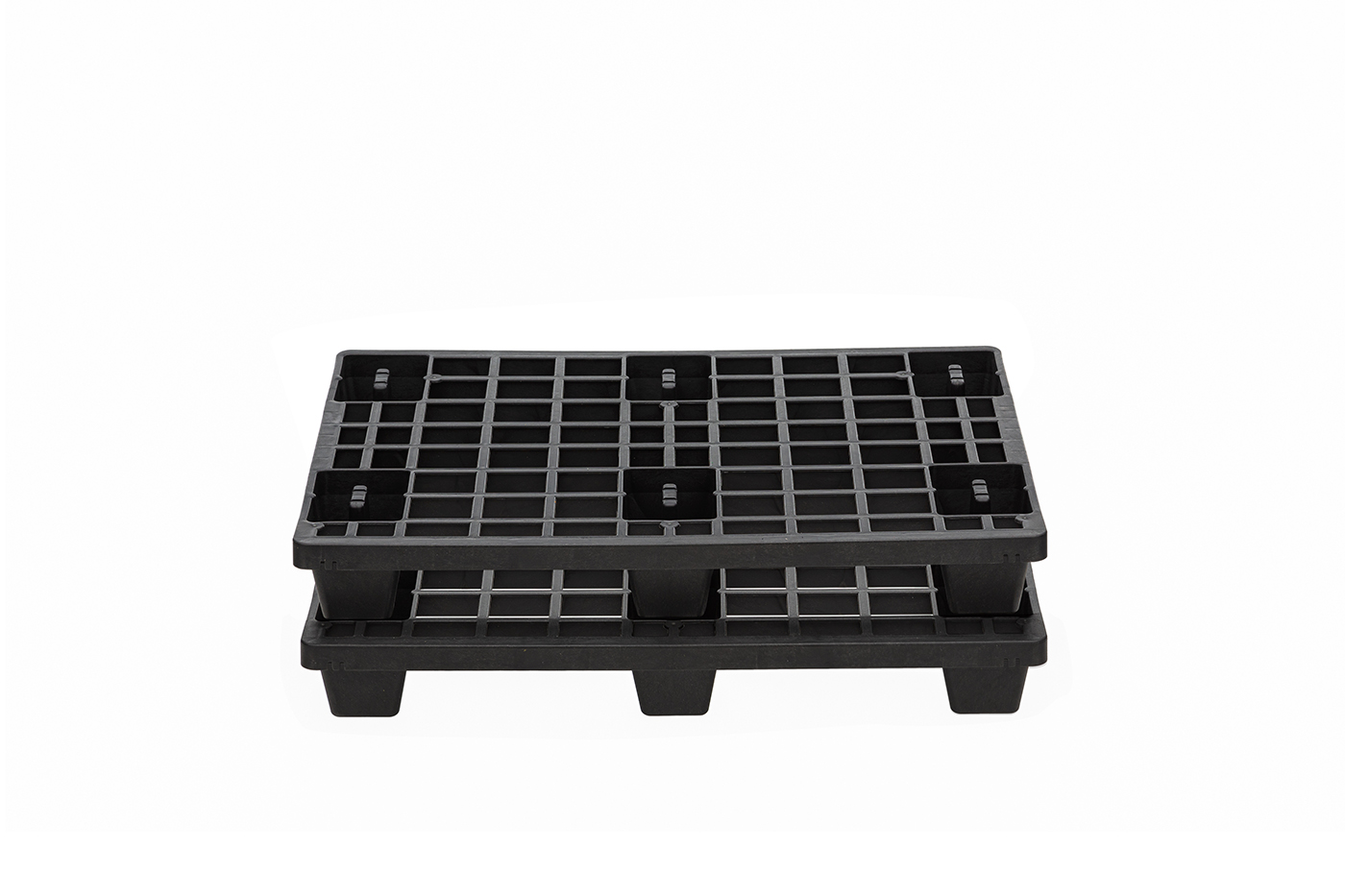 FIDUS light 806 4W