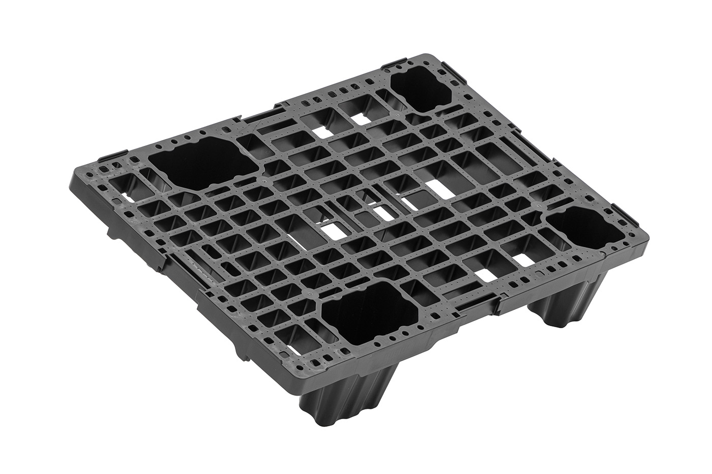 FIDUS medium 604