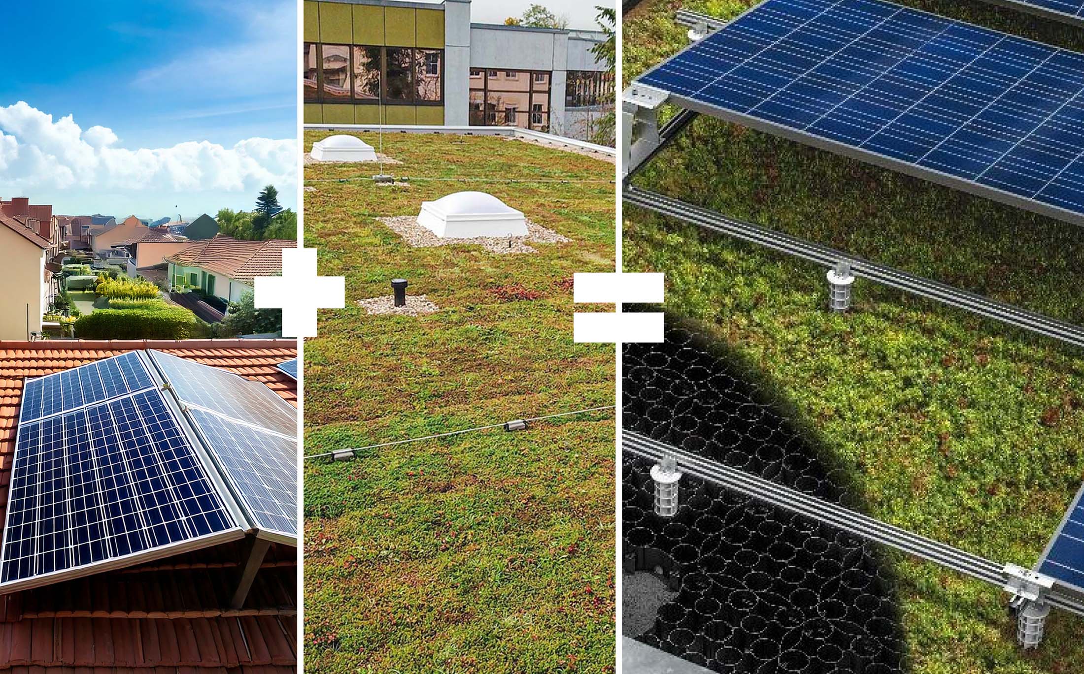 Beispielhafte Darstellung eines Solardachs, eines Gründachs und eines ECOgreen System Dachs, das beides kombiniert