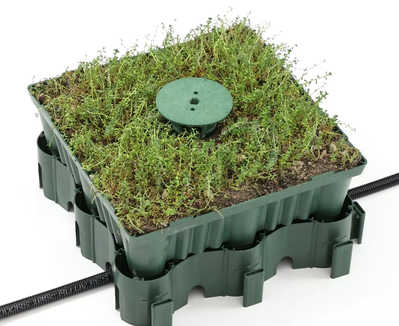 Aufbau ECOgreen System Kompletter Aufbau des ECOgreen Systems mit Schlauch, Grundplatte, begrünter Boxx und Adapter