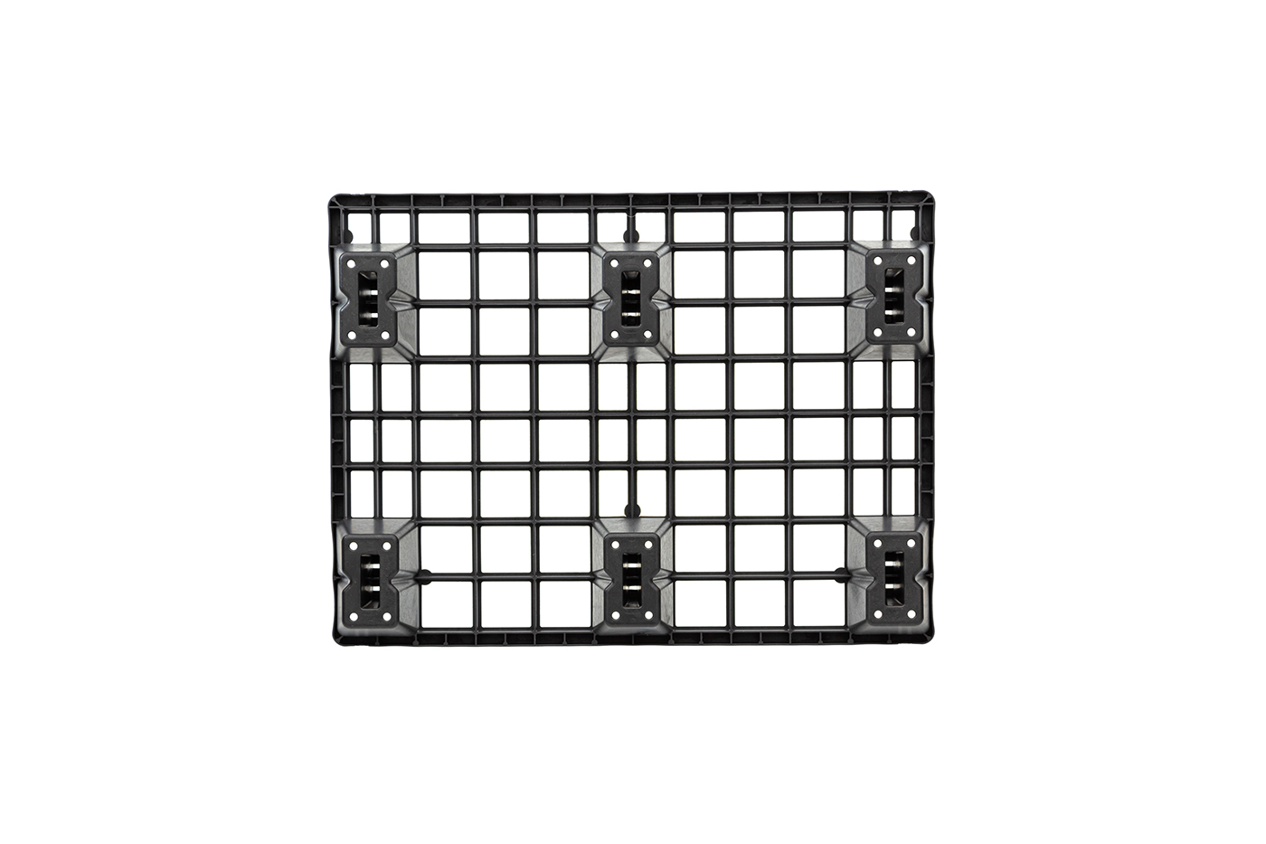FIDUS light 806 4W