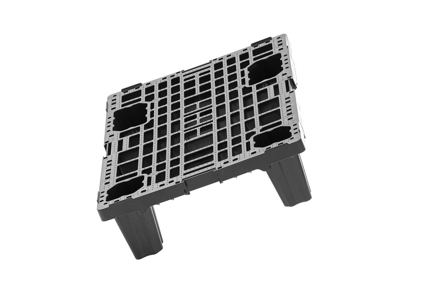 FIDUS medium 604